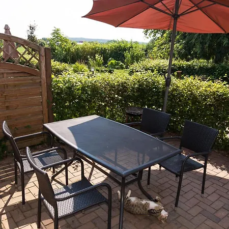 Weidenhof Der Mitmach-bauernhof