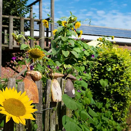 Weidenhof Der Mitmach-bauernhof 公寓