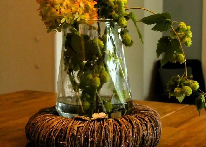 Weidenhof Der Mitmach-bauernhof *